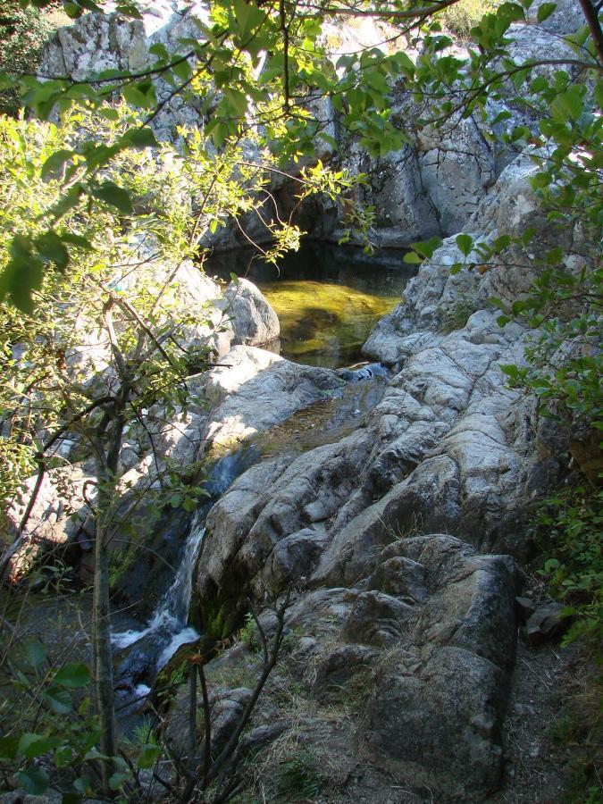Ribes - Chalet Gite Au Coeur De La Nature Sournia 外观 照片