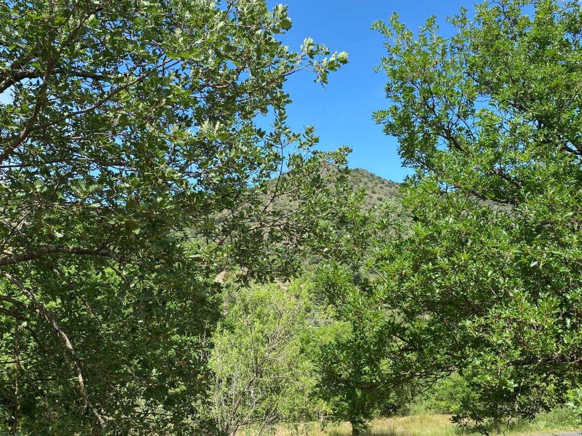 Ribes - Chalet Gite Au Coeur De La Nature Sournia 外观 照片